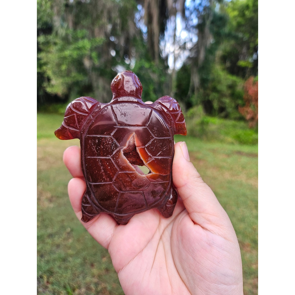 carnelian druzy turtle 4 in
